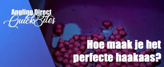 Hoe maak je het perfecte expander haakaas? Witvissen Quickbite 