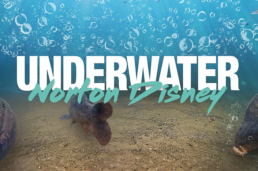 Korda Underwater - De Perfecte Karper Rig? 