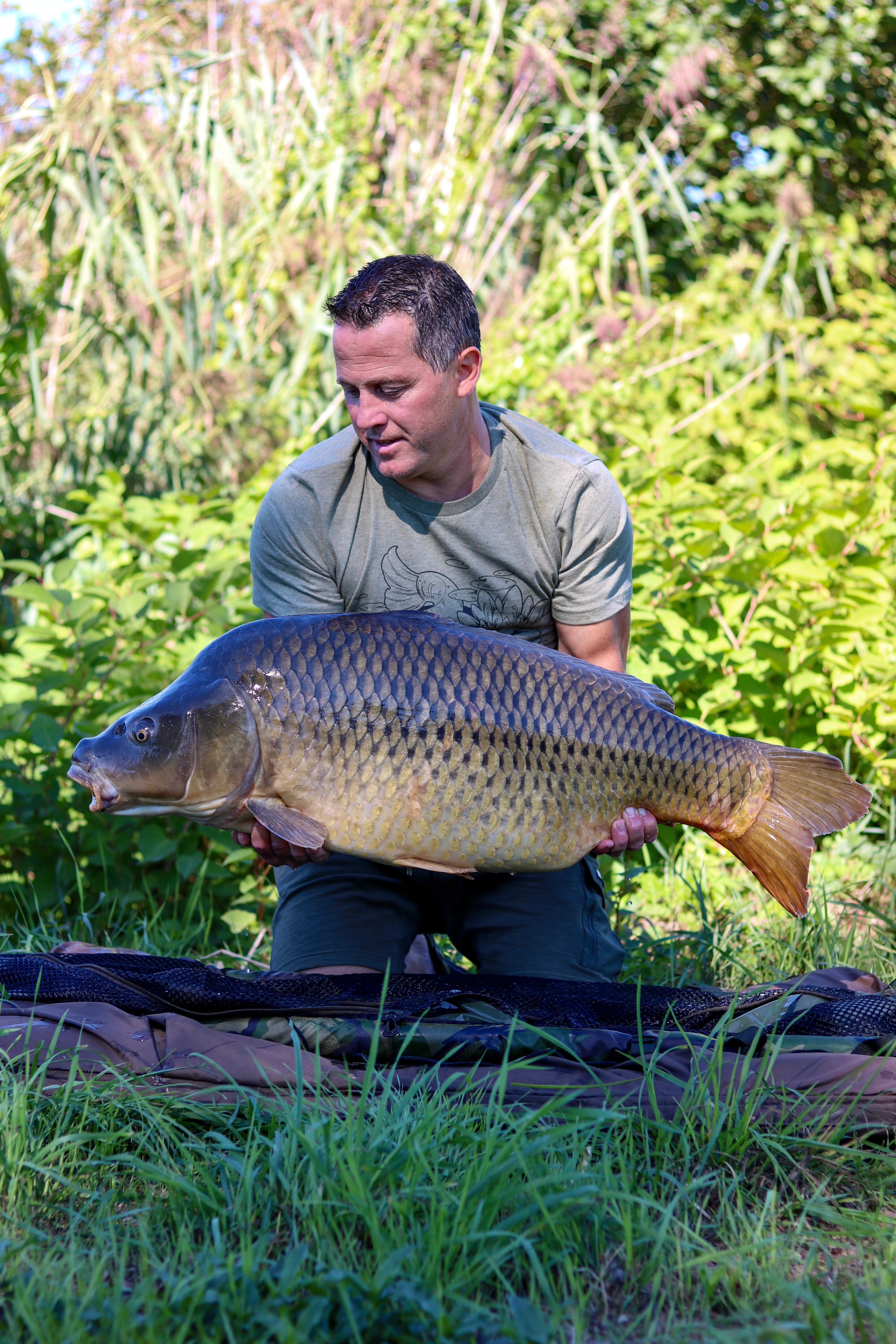 Grosse carpes, les bons gestes - Comment soigner la carpe