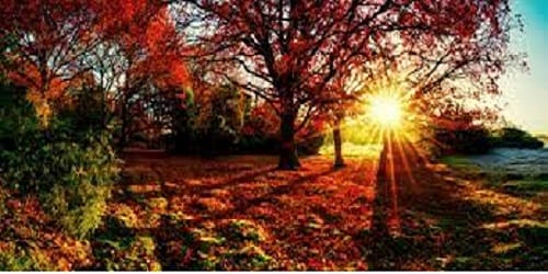 Angeln im Herbst!  Welche Fische fängt man im Herbst?