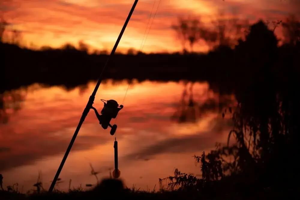 Les 5 Meilleurs Moulinet Shimano de Pêche 2023