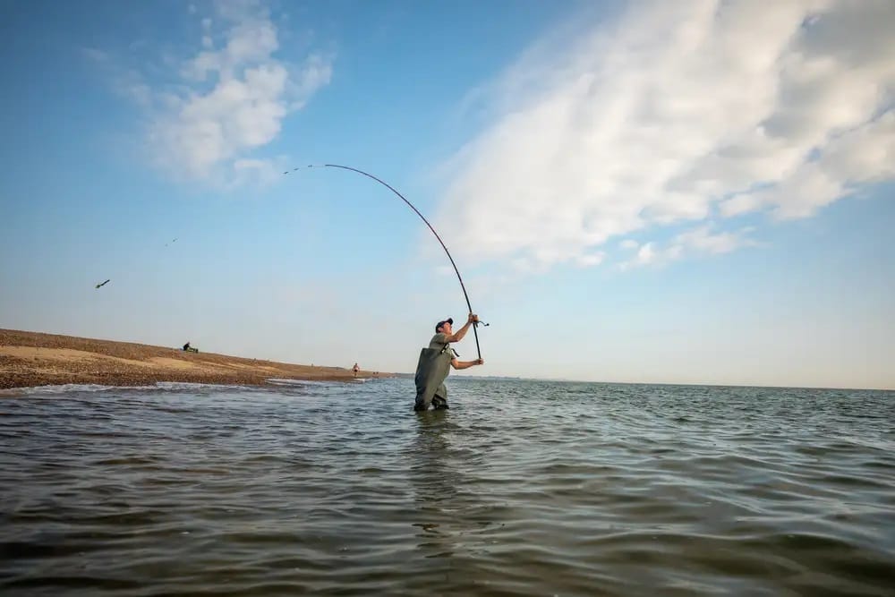 Le Guide d’Achat Ultime pour les Pêcheurs en Mer - De Quel Équipement Avez-Vous BESOIN pour Commencer la Pêche en Mer ou de Plage ?