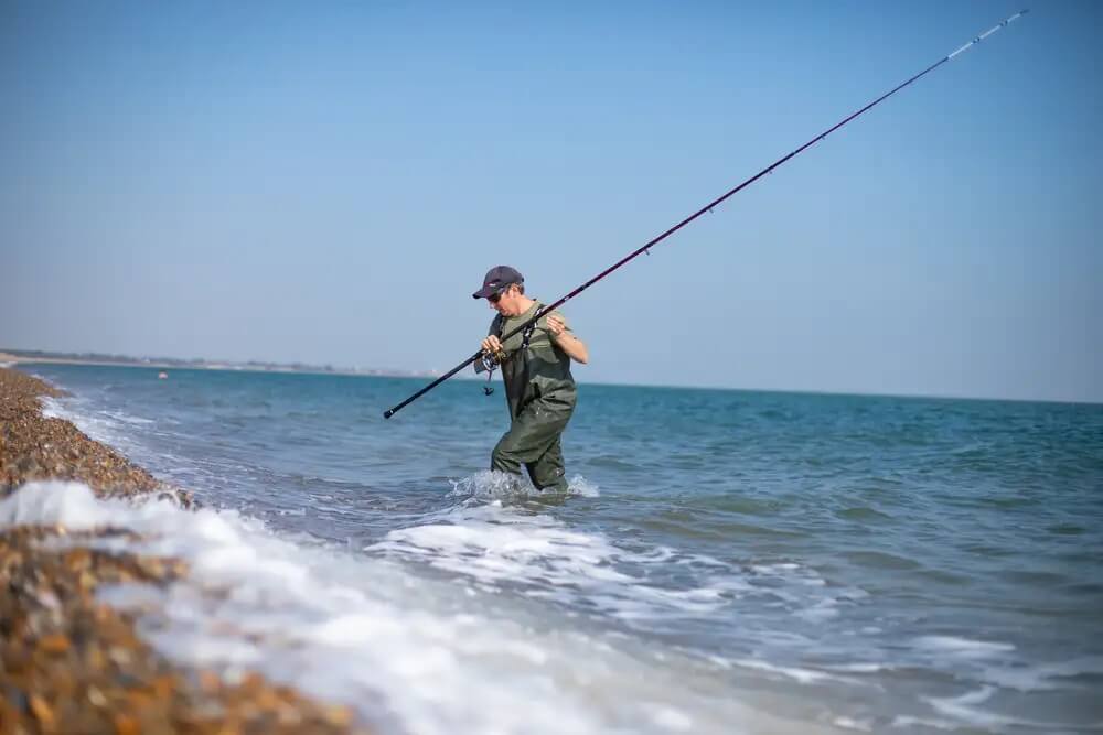 Guide de Pêche en Mer: Saisons & Marées 