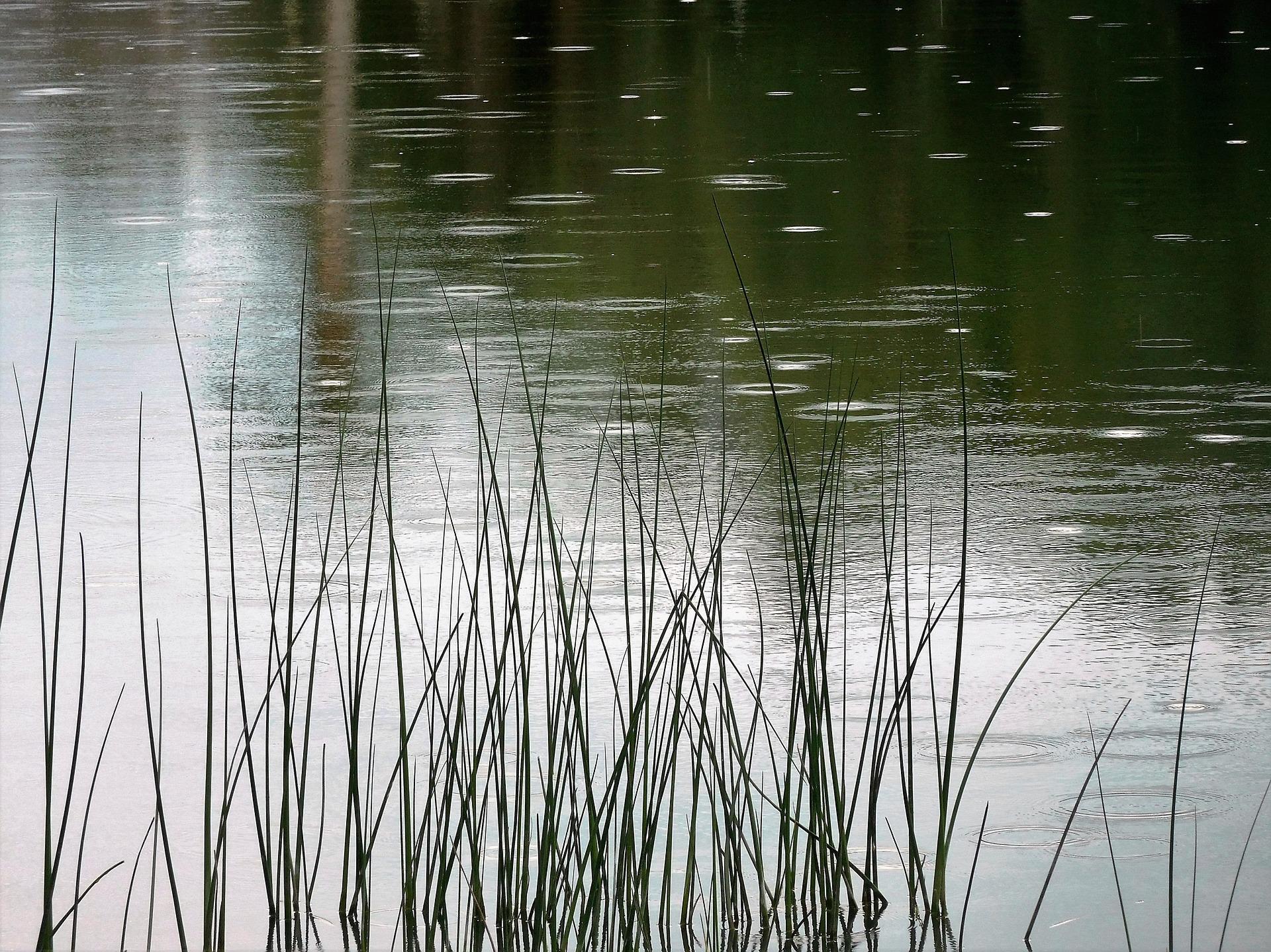 Wetter wechselt, Advanta bleibt: im Schutz der X5 Schirme 