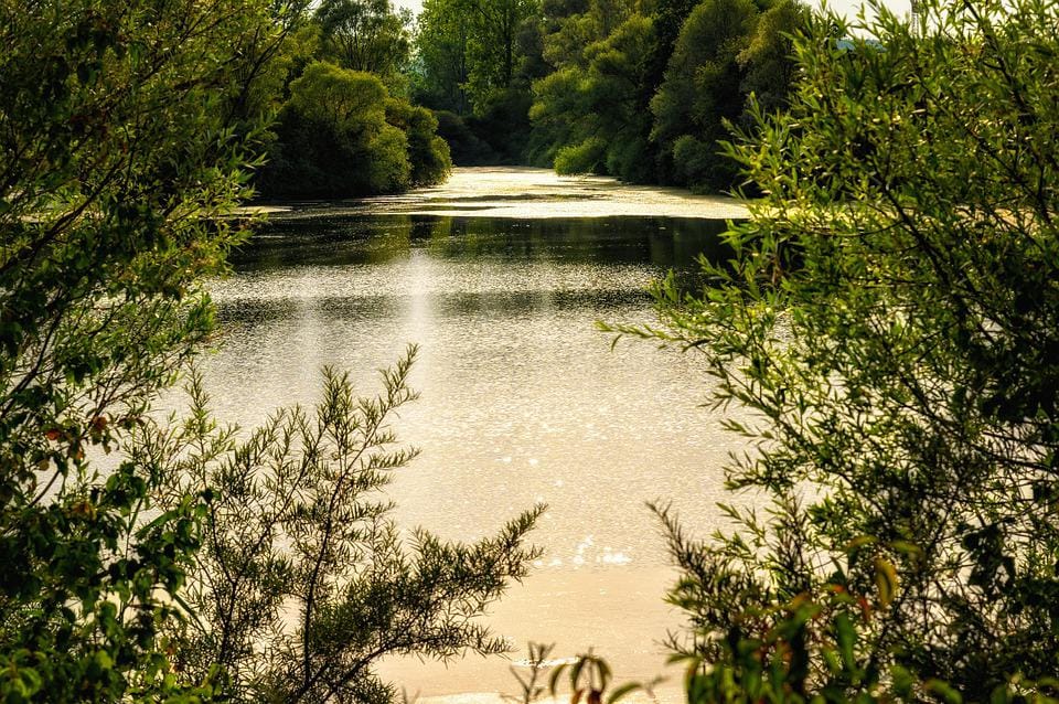 Sommer! Sommerferien! Zeit für einen Angelausflug, auch wenn es warm ist!