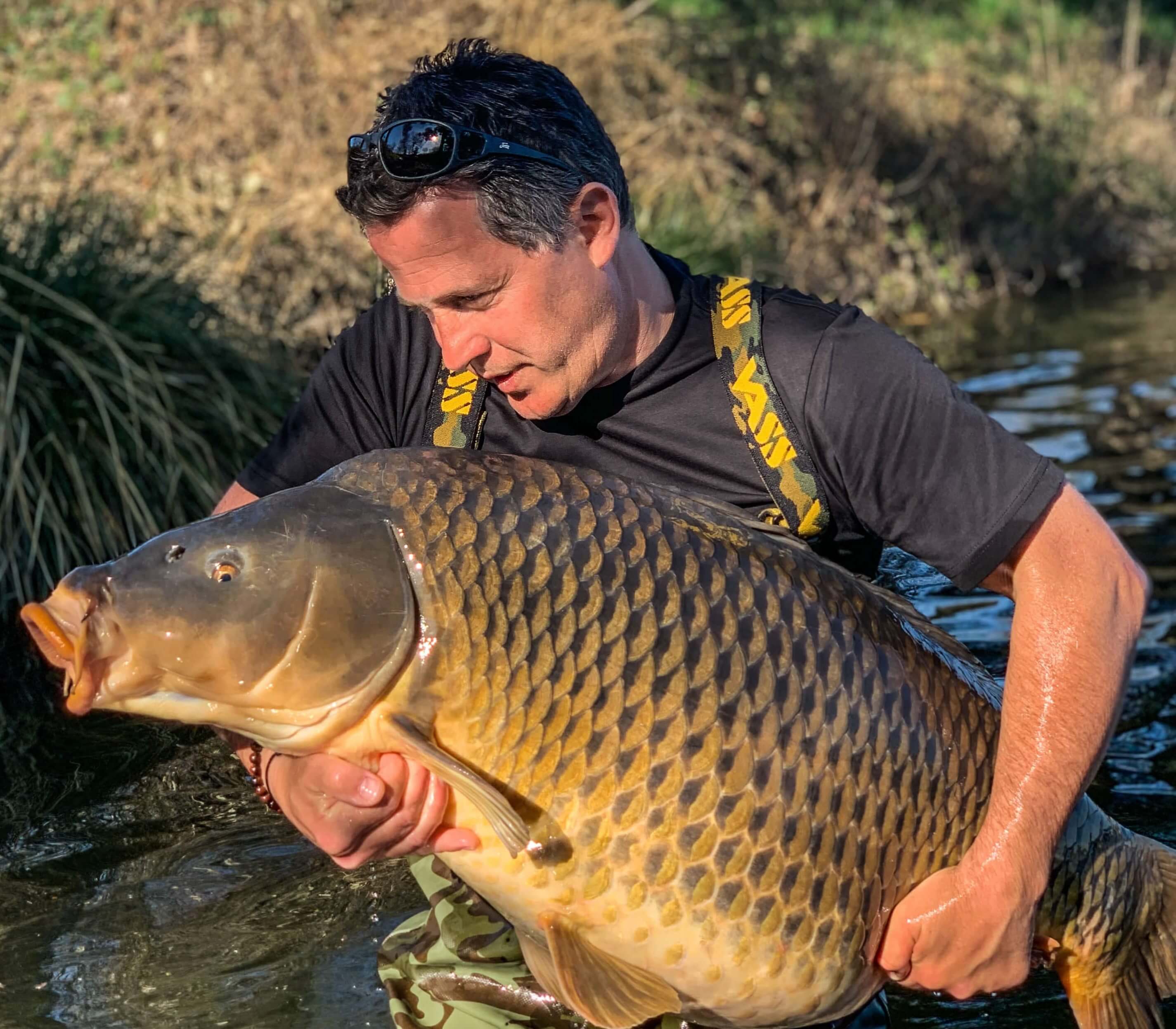 Attraper de Grosses Carpes - Fraie de Grosses Carpes - Des Mœurs Différents