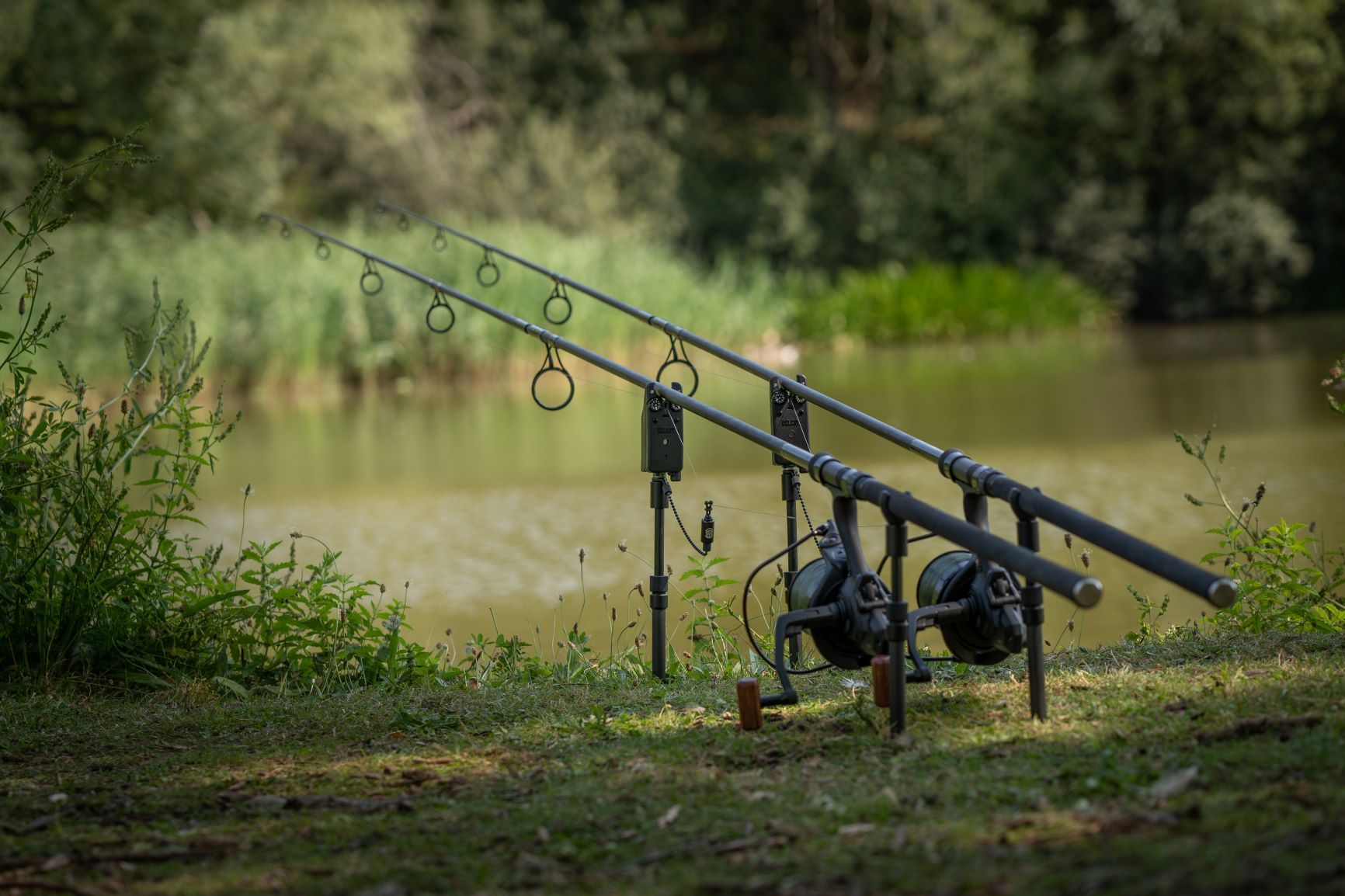 Conseils de Pêche d’Été : Votre Guide pour Pêcher les Saisons