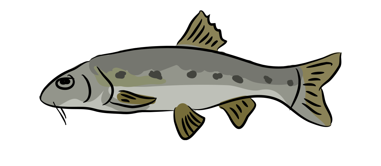 Le Goujon
