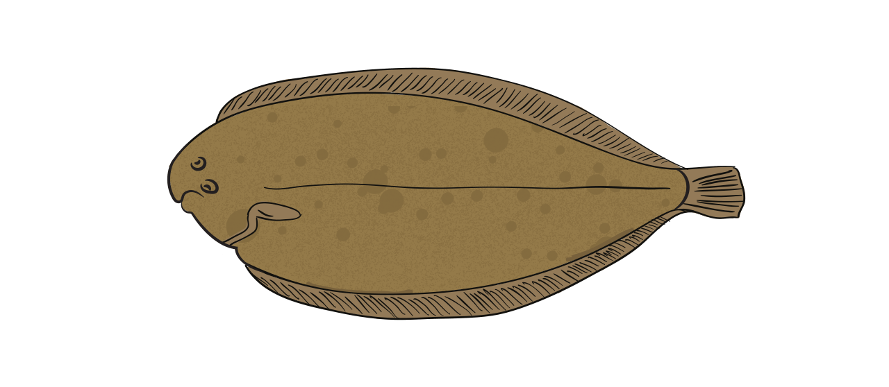 La Sole de Sable