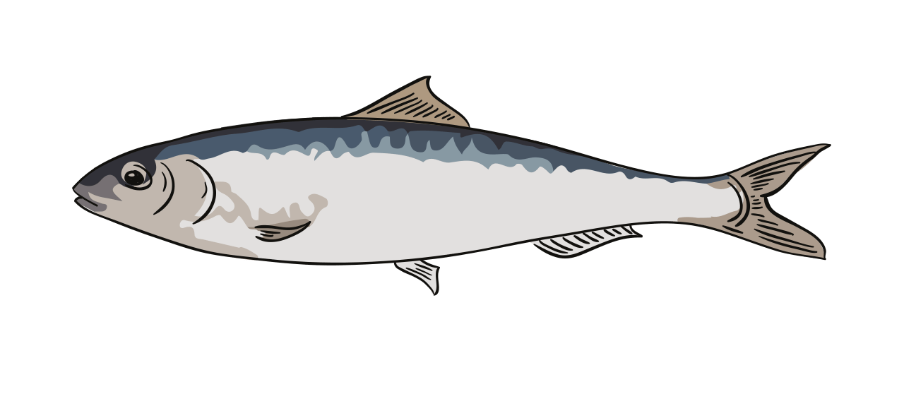 La Sardine