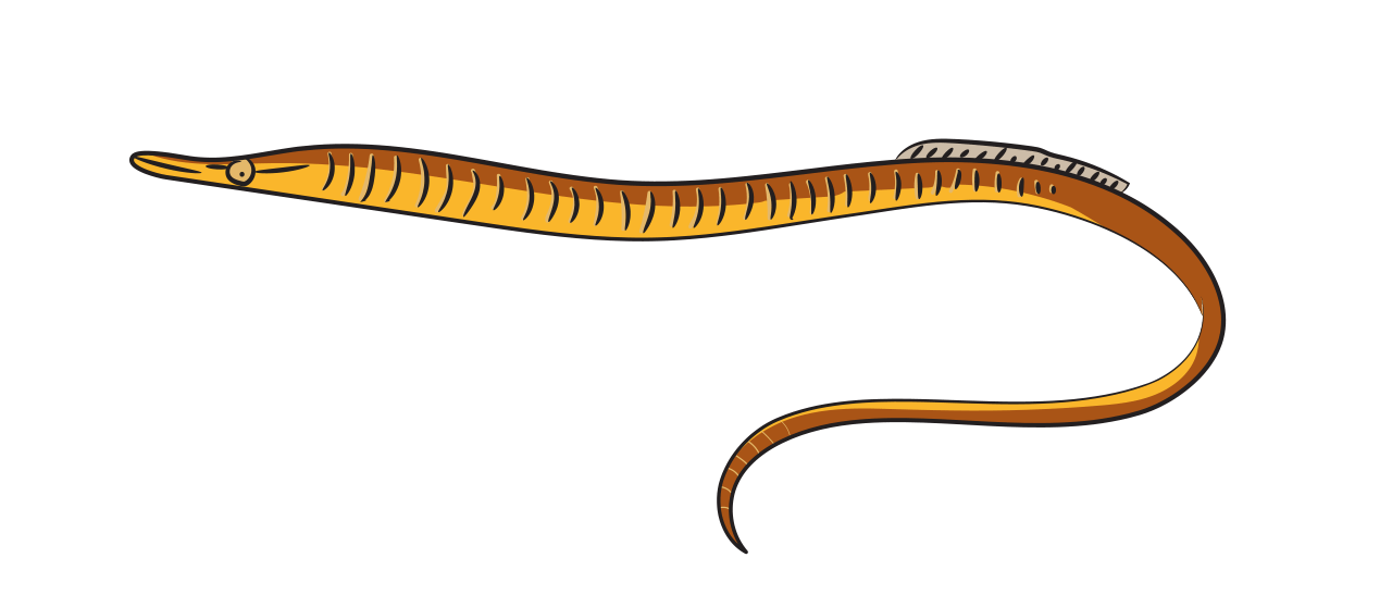 Poisson-Serpent