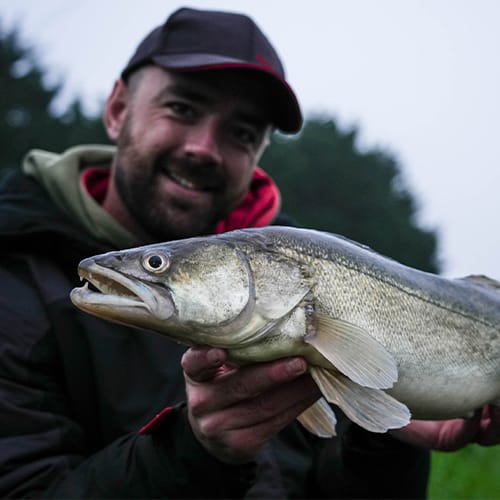 Snoekbaarsvissen