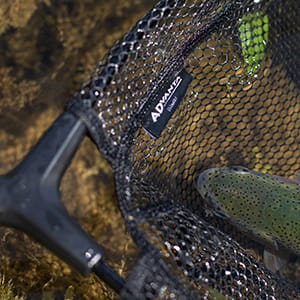 Forel Netten