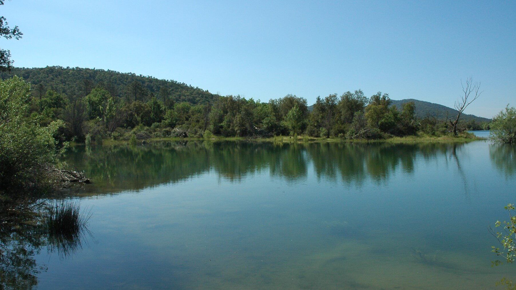 Site de p&ecirc;che lac, rivi&egrave;re, &eacute;tang