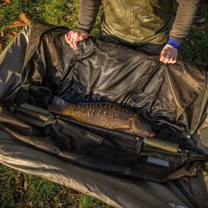 Poisson sur en Tapis de r&eacute;ception