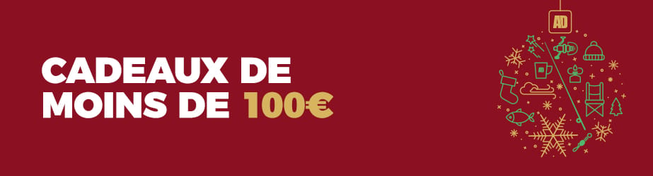 Cadeau moin de 100 euro