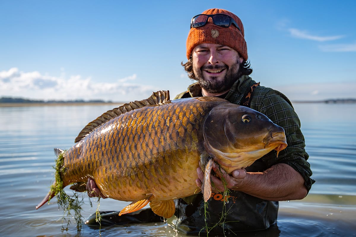 Carpes Capturer
