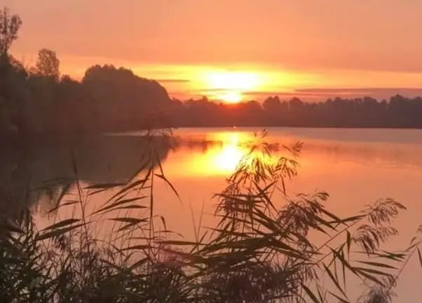 Le Lacs de R&ecirc;ves, Champagne
