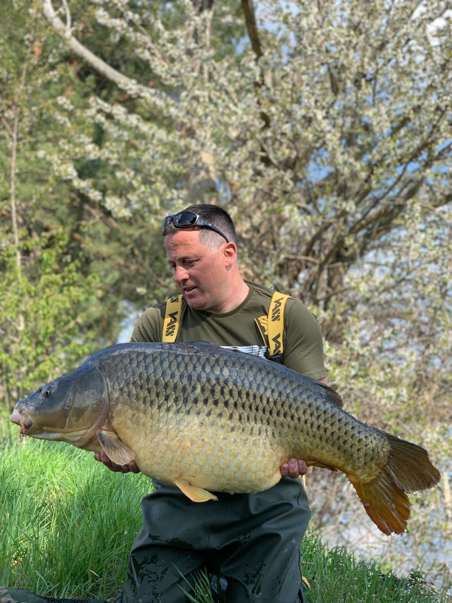 carpes