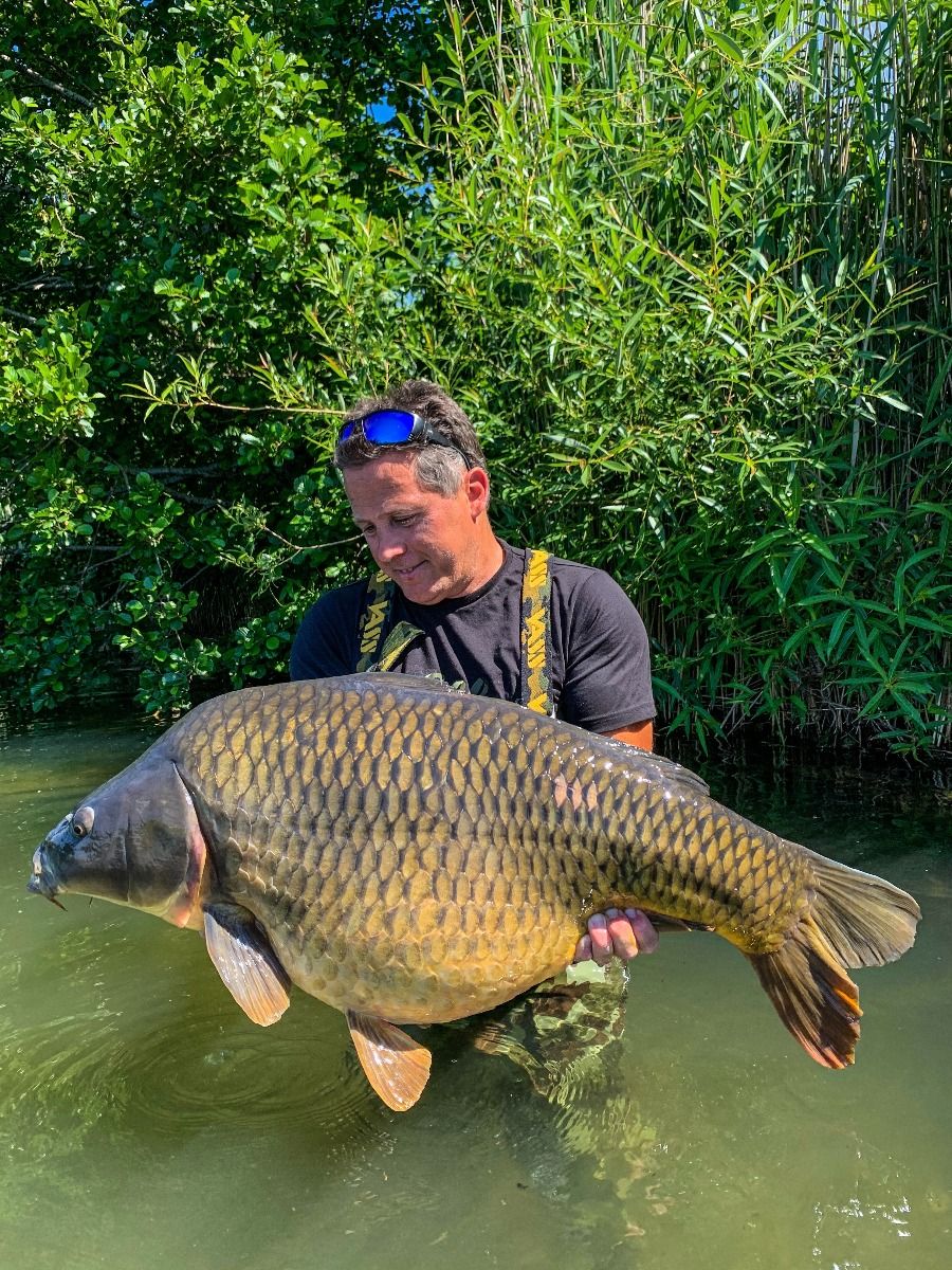 Carpes
