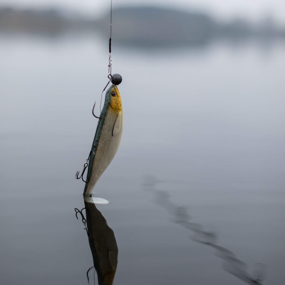 Leurre souple dans l'eau -  P&ecirc;che au Brochet en Surface