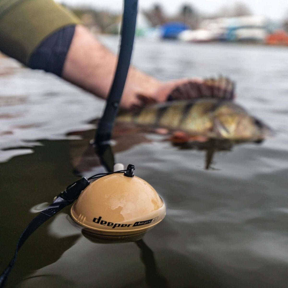Sondeur Deeper Chirp+ 2 en utilisation dans l'eau - P&ecirc;che en Ville