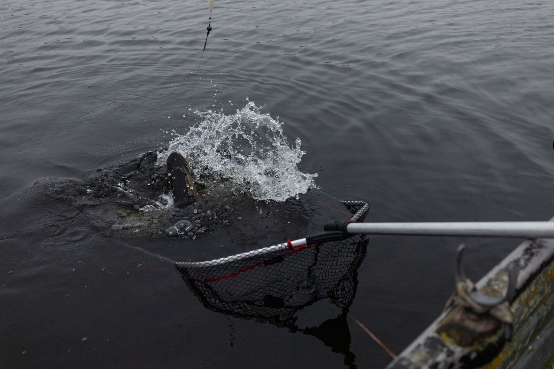 &Eacute;puisette de P&ecirc;che au Brochet dans l'eau 