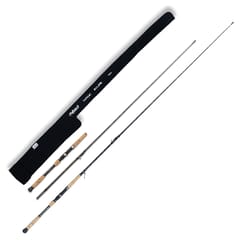 Vagner Magic In-line Wallerrute 210cm 150-250g