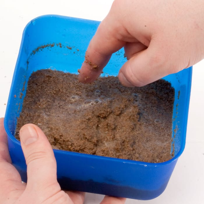 La Pâte après l'addition d'eau. Il faut attendre pour 30 minutes afin que la pâte puisse absorber l'eau