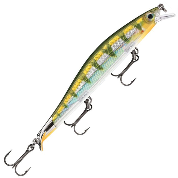 Yellow Perch