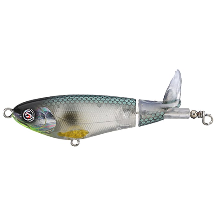 Abalone Shad