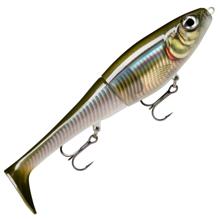Smelt On The Beach