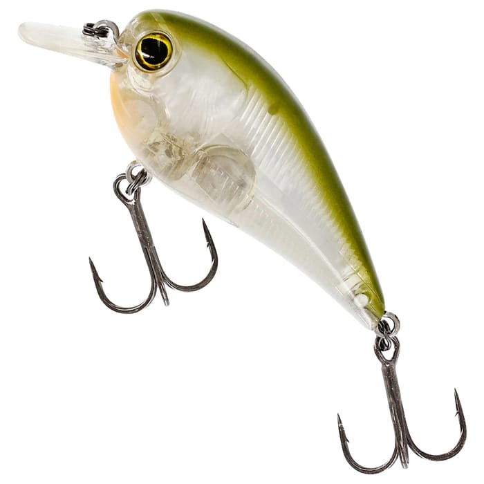 Clear Olive
