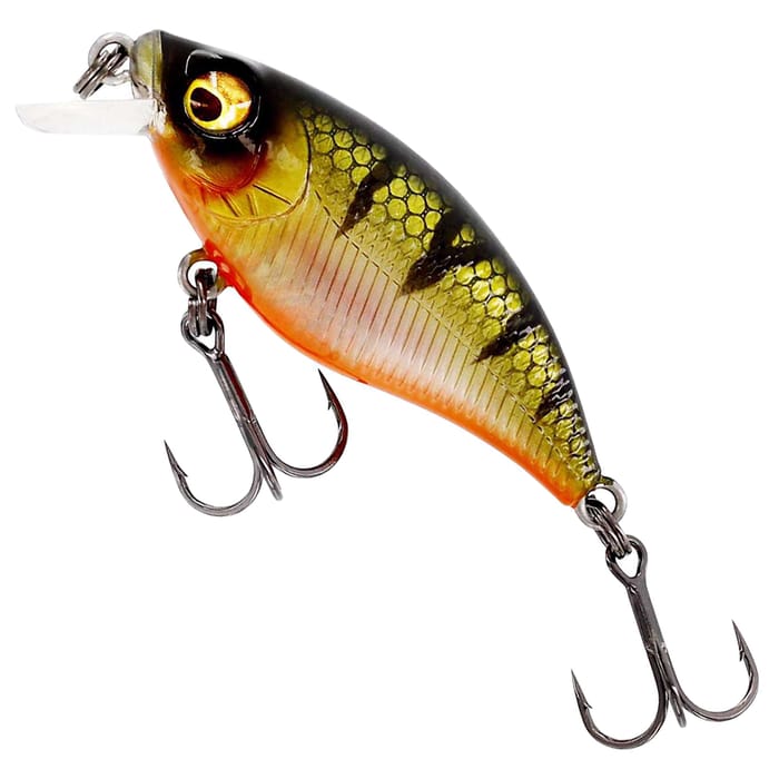 Bling Perch