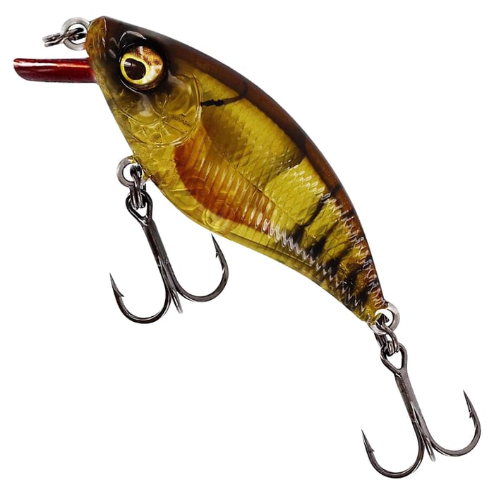 Clear Brown Craw