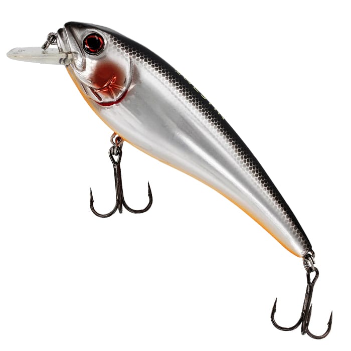 Steel Sardine