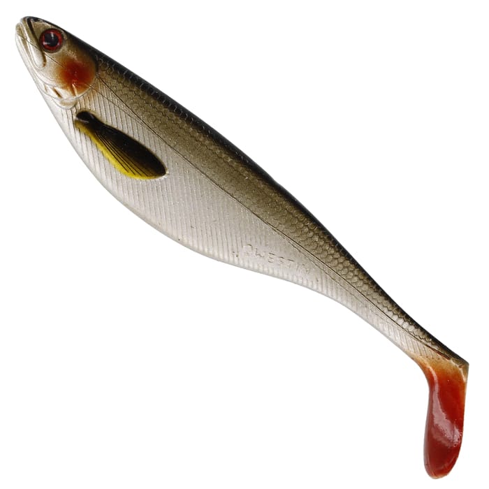 Lively Roach