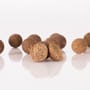 Nash Scopex Squid Stabilised Boilies Dynamic Carp Bait