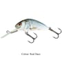 Salmo Hornet 4cm Floating Lure Real Dace