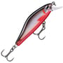 Red Belly Shad