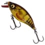 Clear Brown Craw