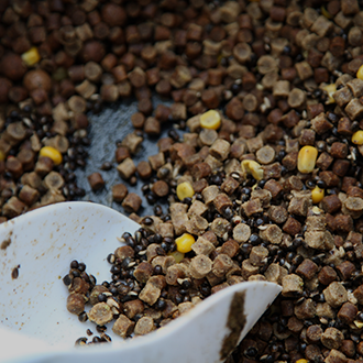 Spezialzubehör Köder & Zusätze