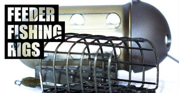 Einsteiger-Tipps – So angeln Sie erfolgreich mit Groundbait