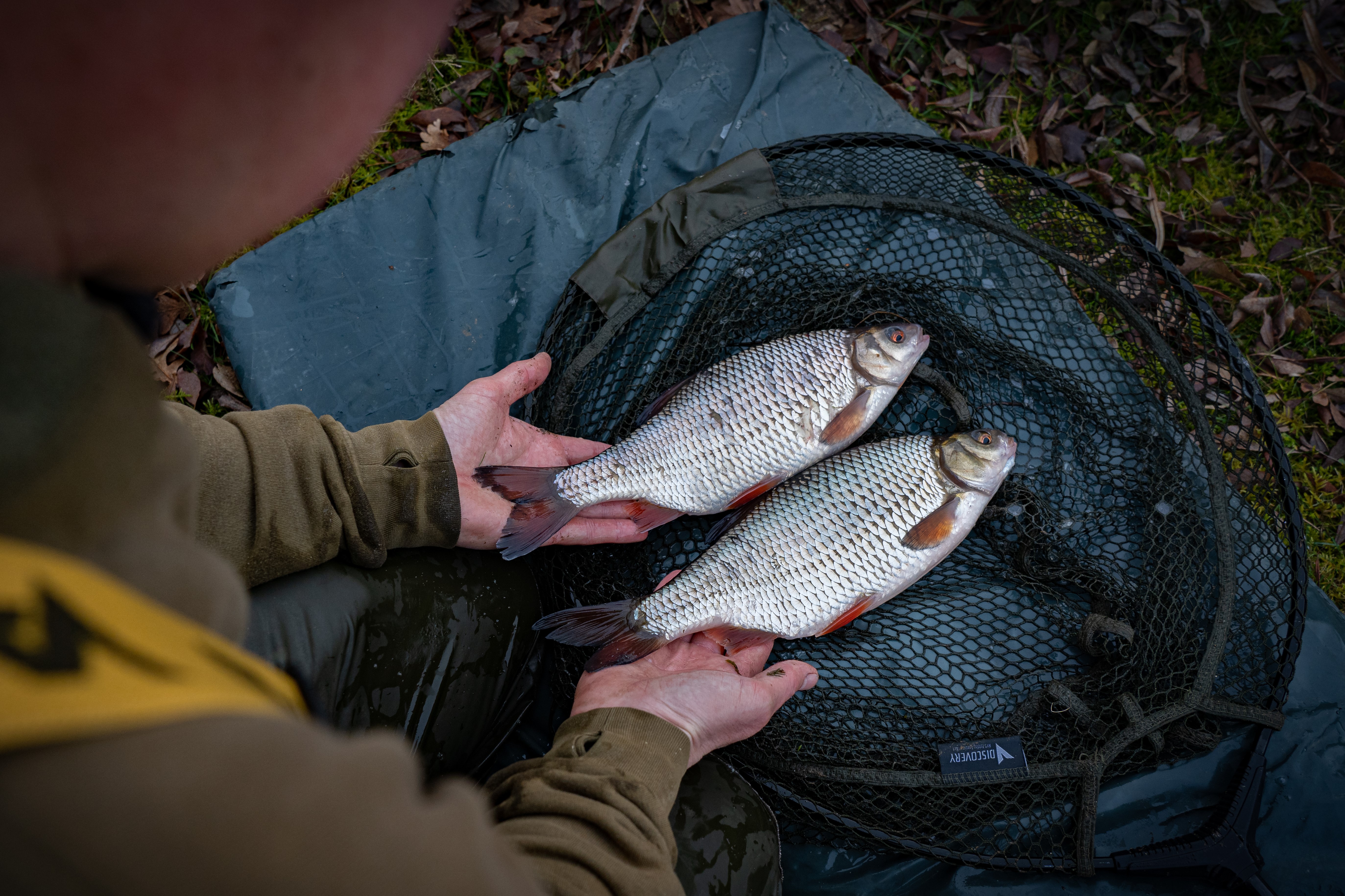 Winter Gravel Pit Rotauge - Phil Spinks