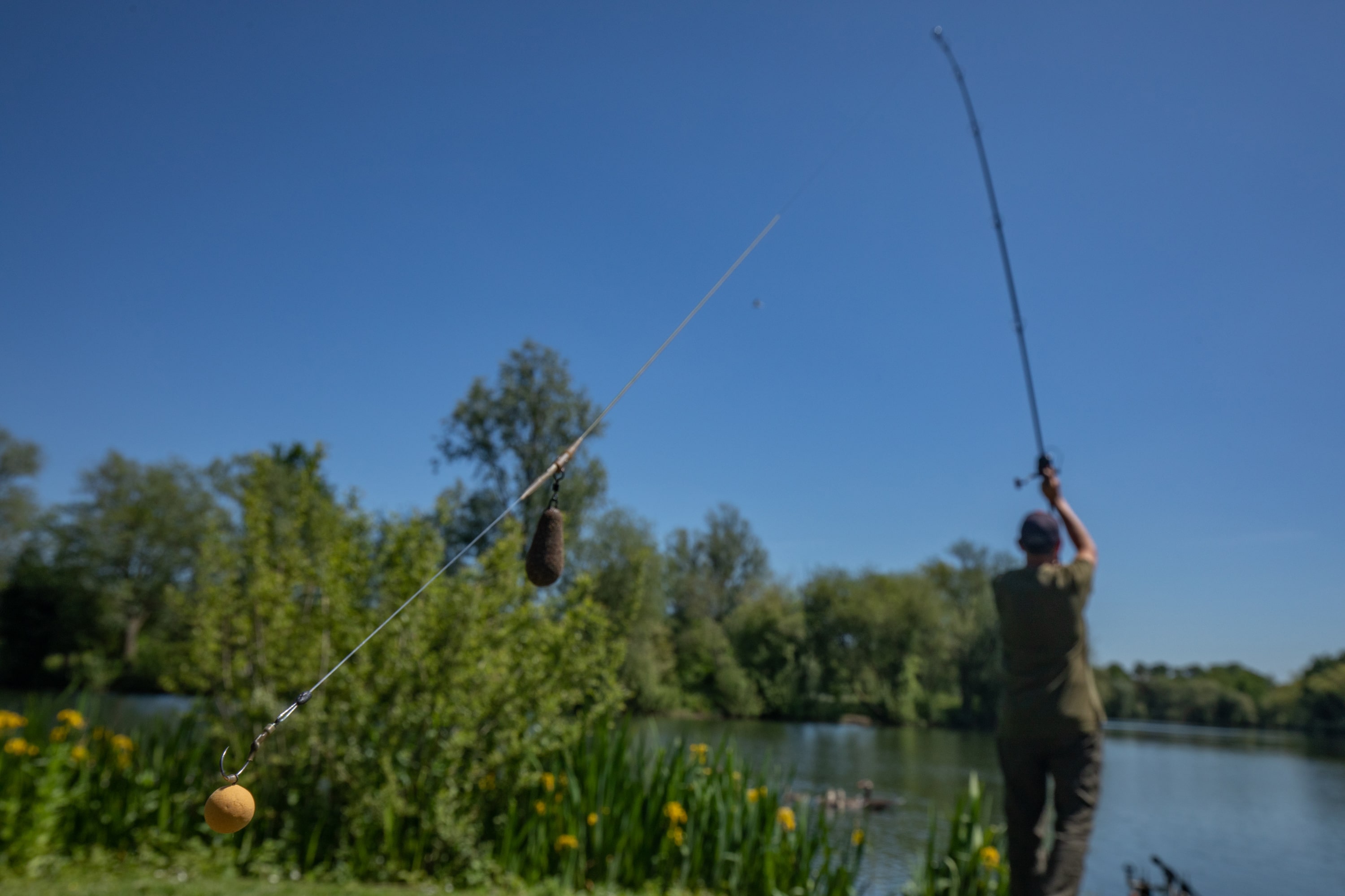 Auf Karpfen im Spätsommer – mit diesen Ködern geht’s auf Fangfahrt!