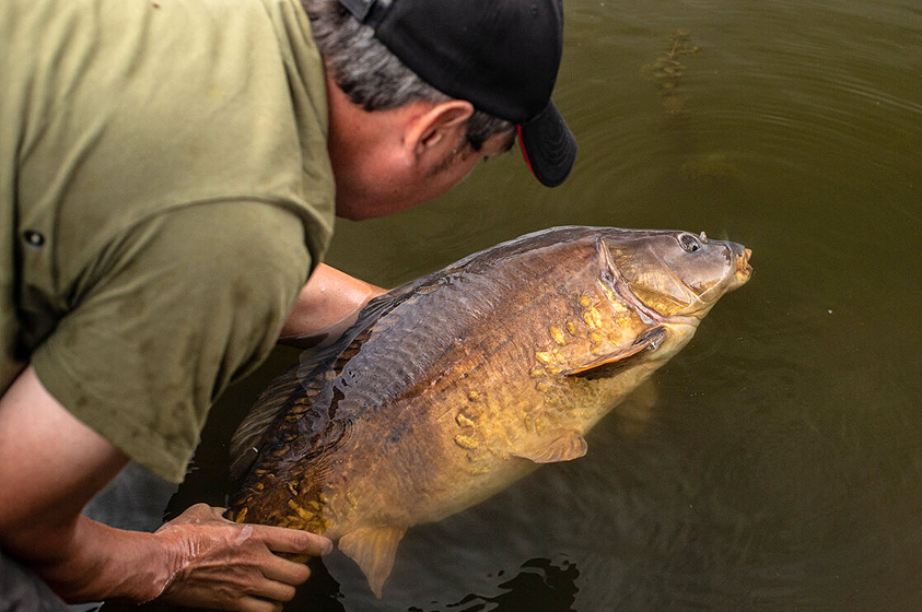 8 Wege, zum Erfolg beim Zig-Angeln!