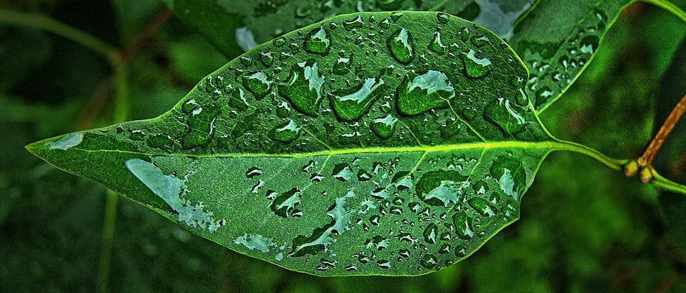 Trocken bleiben im Allwetter: Sommer, Winter, Daiwa Retex!