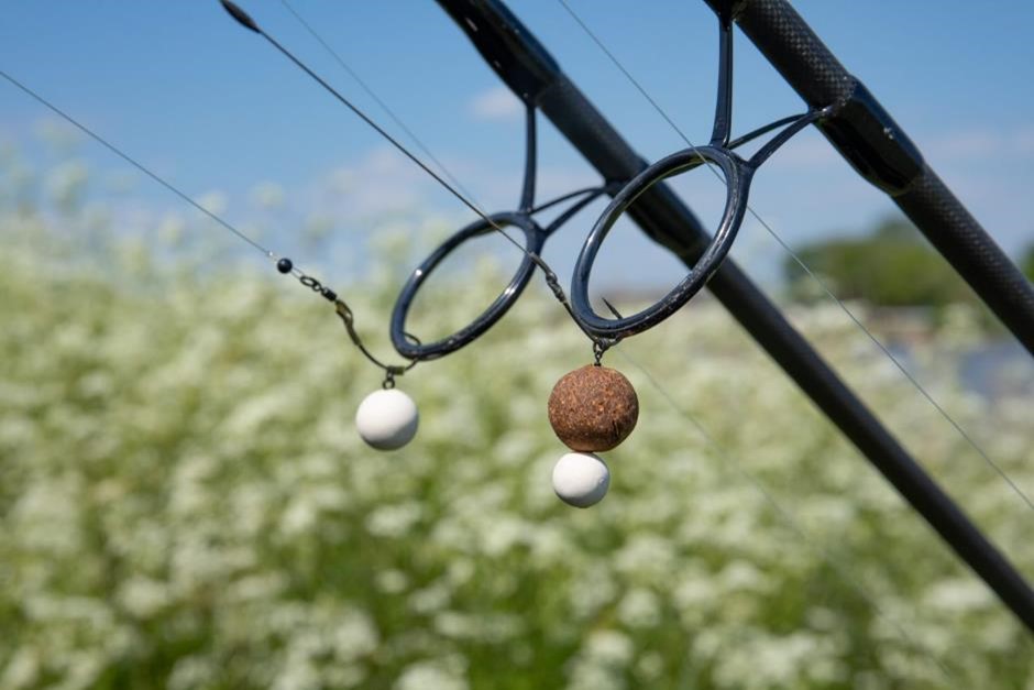 Rigs zum Karpfenangeln – Tipps und Tricks für den schnellen Erfolg