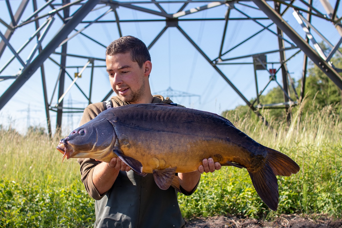 Sekundenschnell, ohne Schnickschnack: David Rosemeier bindet ein KD Rig für euch