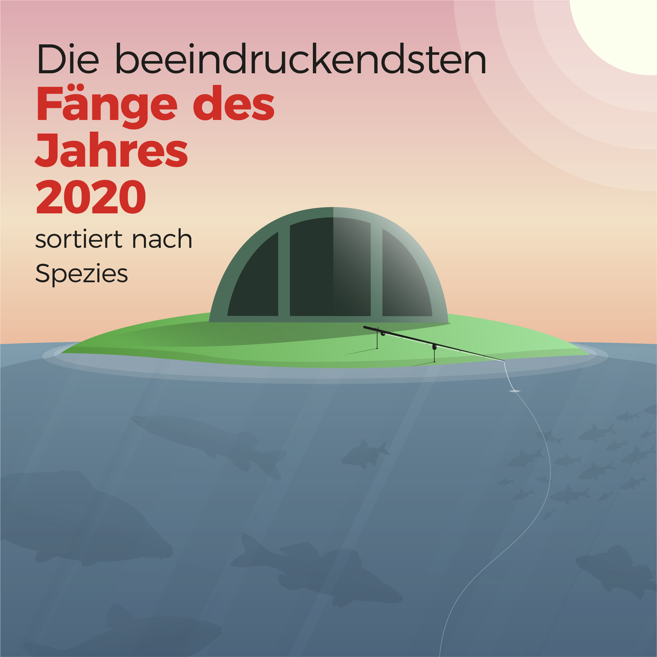 Die beeindruckendsten Fänge für das Jahr 2020 